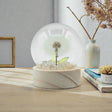 Floral Glow Garden Dome – 1 Dandilion- LED Battery, snow globe