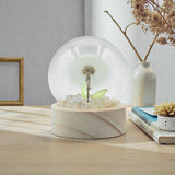 Floral Glow Garden Dome – 1 Dandilion- LED Battery, snow globe