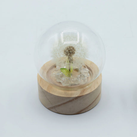 Floral Glow Garden Dome – 1 Dandilion- LED Battery