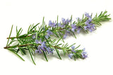 Rosemary Essential Oil Pink Soap Bar 115g