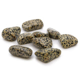 Dalmatian Stone Tumbled Stones Extra Large 18 Pieces
