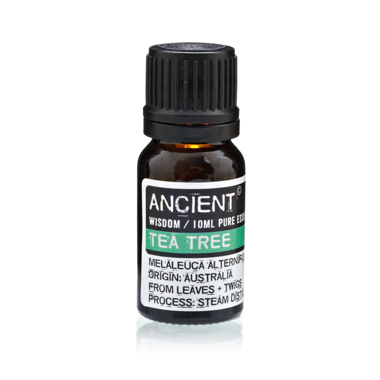 Set of Lavender, Tea Tree & Rosemary Essential Oils – 10ml Each