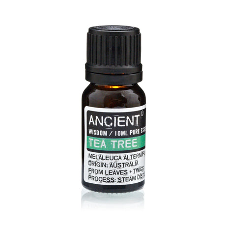 Set of Lavender, Tea Tree & Rosemary Essential Oils – 10ml Each