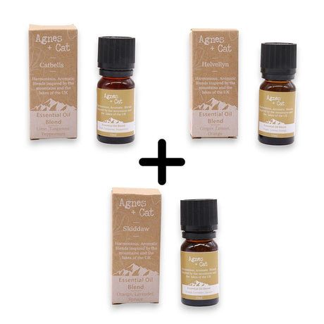 Essential Oils 3-Pack, Citrus Uplift