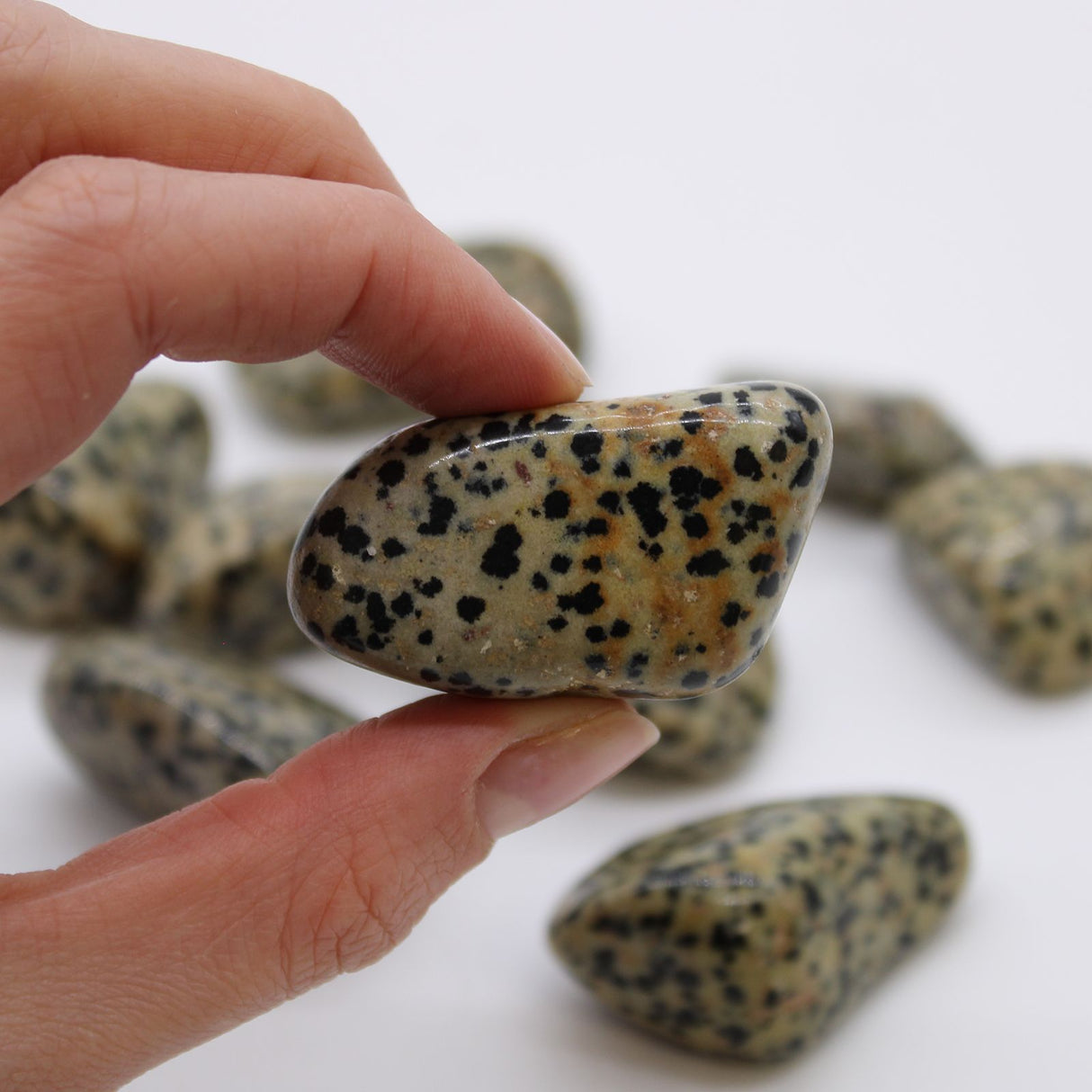 Dalmatian Stone Tumbled Stones Extra Large 18 Pieces