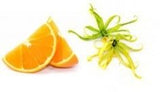 Soap Bar Red Ylang Orange Essential Oil 100g