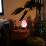 DriftGlow Lamp Crackle Lotus Flower Shade – Purple