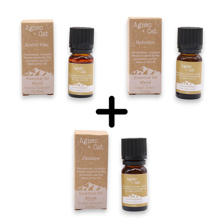 Essential Oil Blends Forest Retreat Agnes and Cat