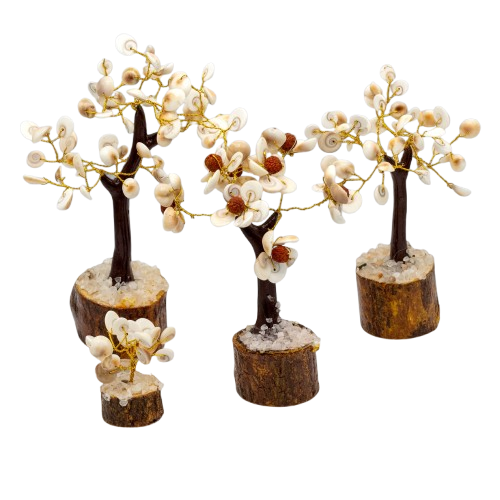 Gomati Chakra Steen Bomen Set van 4