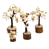 Gomati Chakra Steen Bomen Set van 4