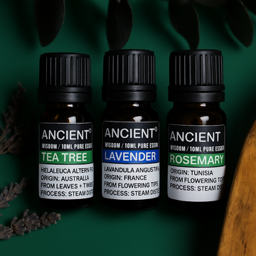 Set di Oli Essenziali Lavanda, Tea Tree e Rosmarino – 10ml ciascuno