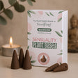 Backflow Incense Cones Sensuality Plant Based 12 Cones - SHAMTAM.COM