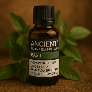 Basil Essential Oil, Steam Distilled 50ml