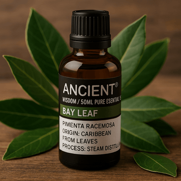 West Indian Bay Essential Oil 50ml