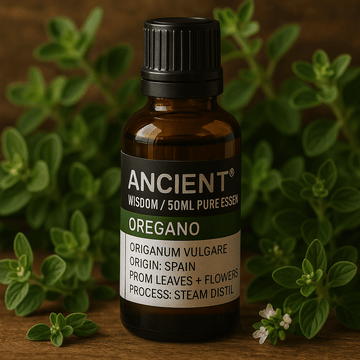 Olio Essenziale di Origano Distillato a Vapore 50ml