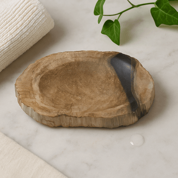 Portasapone nero in legno pietrificato