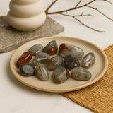 Bloodstone Tumbled Stones Medium African Sephtonite 12 Pieces - SHAMTAM.COM