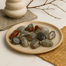 Bloodstone Tumbled Stones Medium African Sephtonite 12 Pieces - SHAMTAM.COM