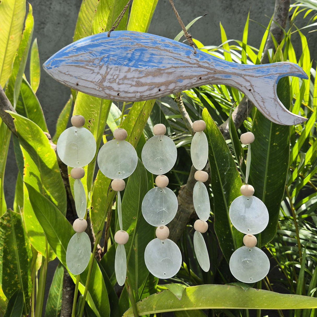 Bluewash Fish Carving and Natural Copis Drop - SHAMTAM.COM