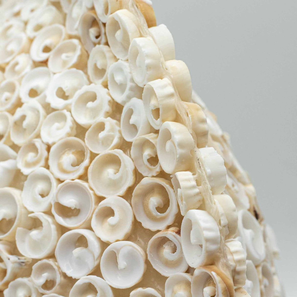 Boho Sea Shell Lamp - Cut Art Shell Large Round - 30cm - SHAMTAM.COM