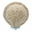 Boho Sea Shell Lamp - Cut Art Shell Large Round - 30cm - SHAMTAM.COM