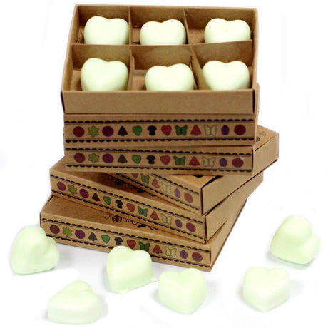 Apple Spice Wax Melts Box - SHAMTAM.COM