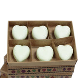 Apple Spice Wax Melts Box - SHAMTAM.COM