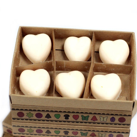 Box of 6 Wax Melts - Cinnamon & Orange - SHAMTAM.COM