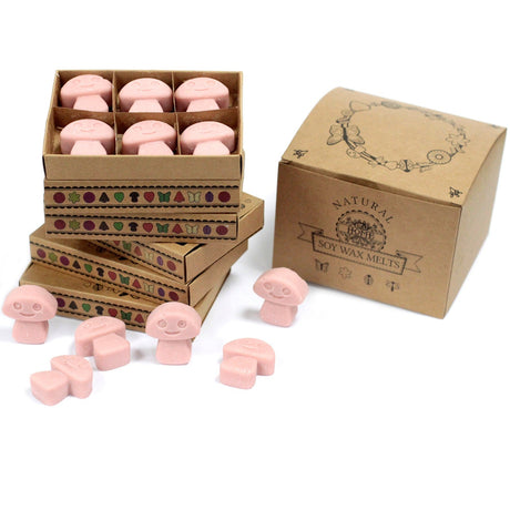 Coffee Trader Wax Melts Box - SHAMTAM.COM