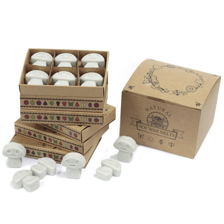 Dark Patchouli Wax Melts Box - SHAMTAM.COM