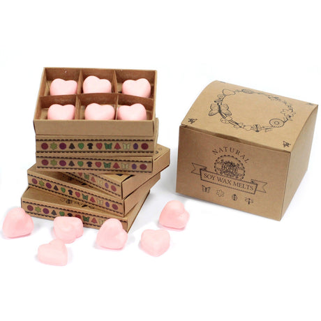 Box of 6 Wax Melts - Dragon's Blood - SHAMTAM.COM