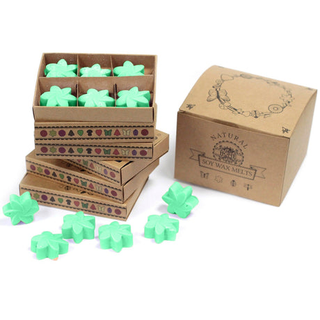 Hidden Garden Wax Melts Box - SHAMTAM.COM