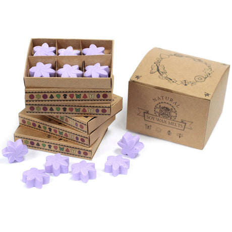 Lavender Fields Wax Melts Box - SHAMTAM.COM