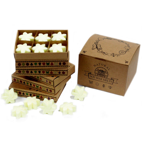 Lemon Harvest Wax Melts Box - SHAMTAM.COM