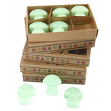 Liquorice Wax Melts Box - SHAMTAM.COM