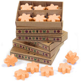 Mango Fruits Wax Melts Box - SHAMTAM.COM