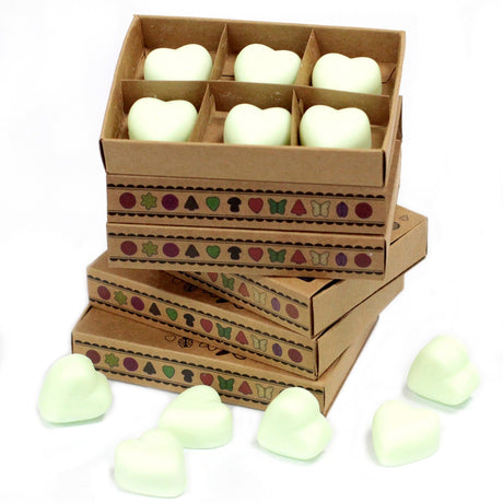 Box of 6 Wax Melts - Mint & Menthol - SHAMTAM.COM