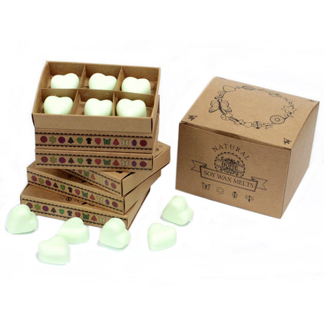 Box of 6 Wax Melts - Mint & Menthol - SHAMTAM.COM