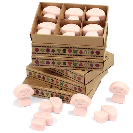 Old Ginger Wax Melts Box - SHAMTAM.COM