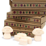 Vanilla Nutmeg Wax Melts Box - SHAMTAM.COM