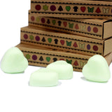 Watermelon Fresh Wax Melts Box - SHAMTAM.COM