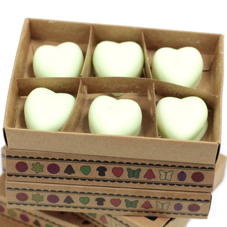 Watermelon Fresh Wax Melts Box - SHAMTAM.COM