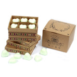 Watermelon Fresh Wax Melts Box - SHAMTAM.COM