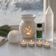 First Frost: A winter candle set in white: a selenite snowball tealight holder, a white tree burner, fir oil and a selenite point