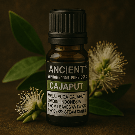 Cajaput Essential Oil 10 ml - SHAMTAM.COM