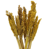 Cantal Grass Bunch - Amber - SHAMTAM.COM