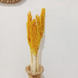 Cantal Grass Bunch - Amber - SHAMTAM.COM