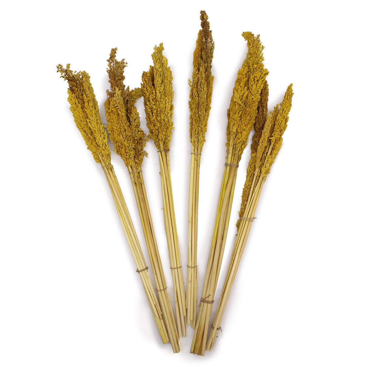 Cantal Grass Bunch - Amber - SHAMTAM.COM