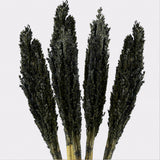 Cantal Grass Bunch - Black - SHAMTAM.COM