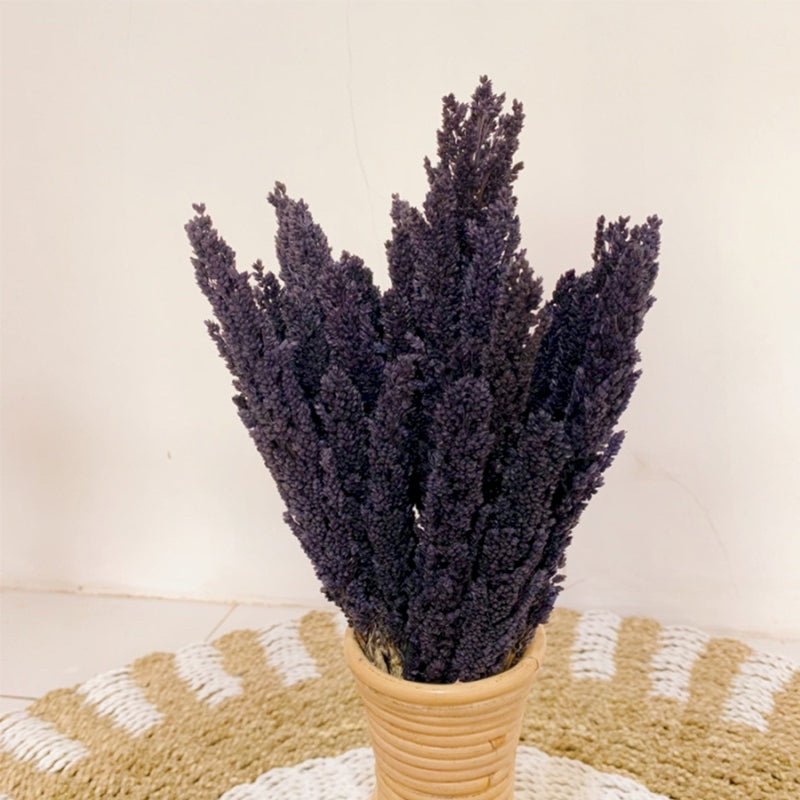 Cantal Grass Bunch - Black - SHAMTAM.COM